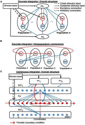 Cortical circuit-based lossless neural integrator for perceptual decision-making: A computational modeling study